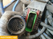 Проводка рамы левая